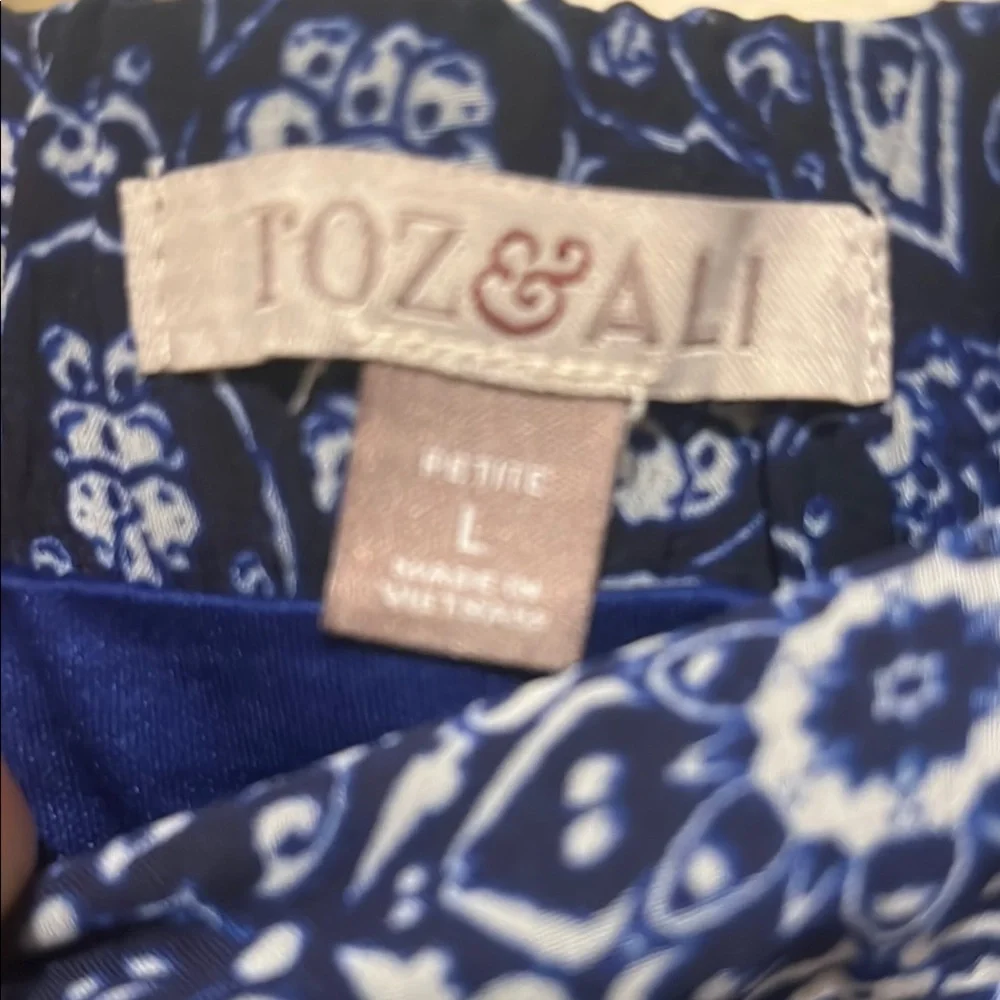 Roz & Ali 💙 Blue Patterned Women's Skirt Size Petite Large - Picture 3 of 11
